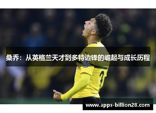 桑乔：从英格兰天才到多特边锋的崛起与成长历程