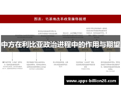 中方在利比亚政治进程中的作用与期望